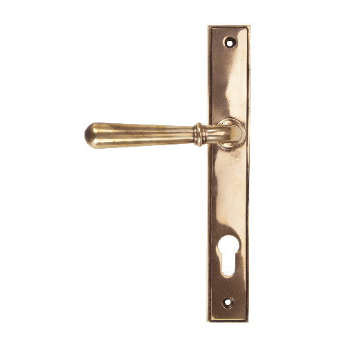 From the Anvil Newbury Slimline Lever Espagnolette Set