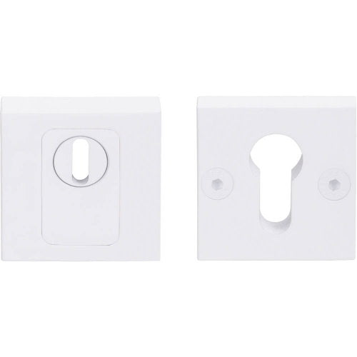 LSQVEIL-KT solid stainless steel security escutcheon with cylinder protection cover