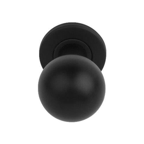 Basics LB501V Fixed front door knob