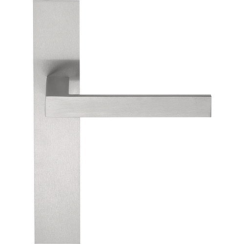 LSQ2P236 stainless steel lever handle on plate