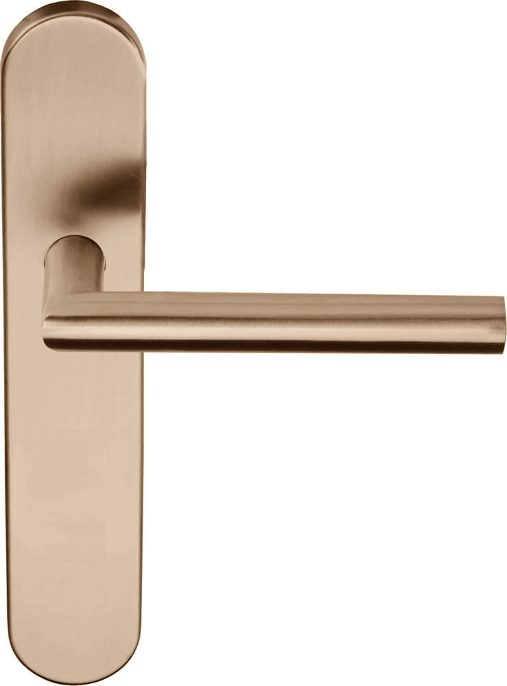 Basics LB2-19P13 Lever Handle on Plate Set