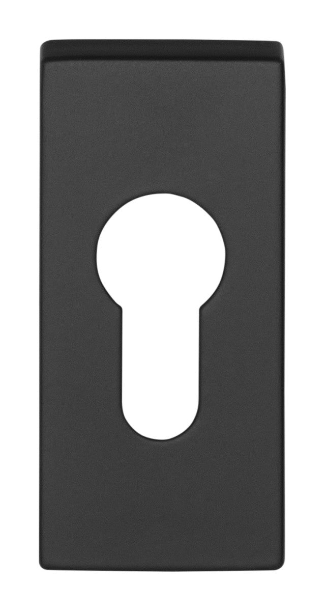 Basics LSQBY32 Europrofile Cylinder Escutcheon