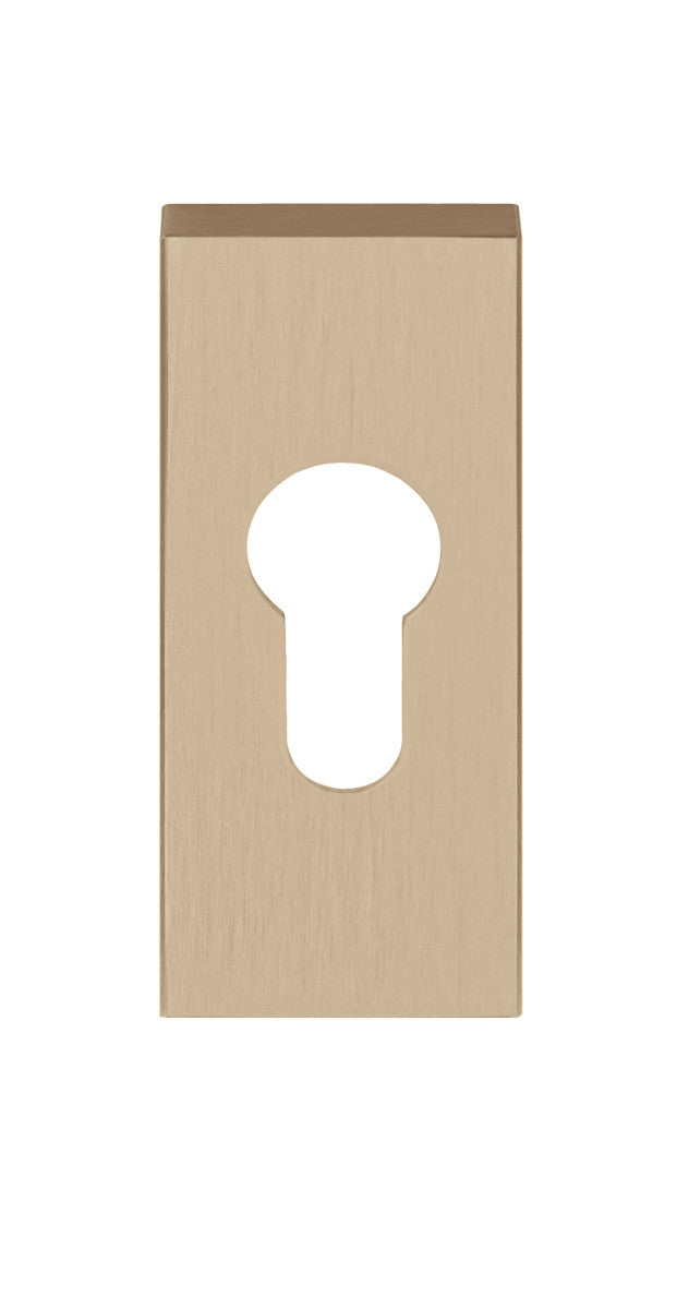 Basics LSQBY32 Europrofile Cylinder Escutcheon